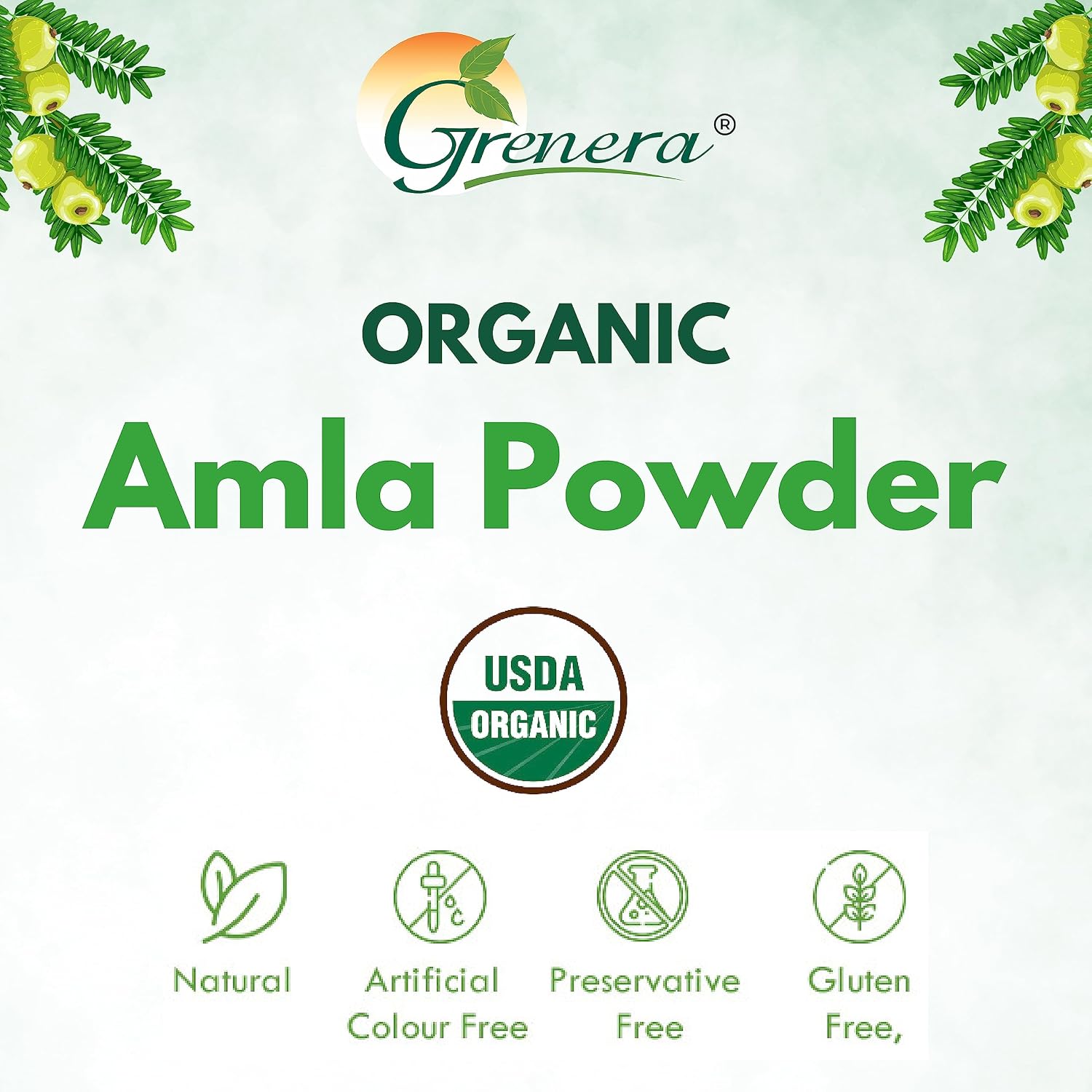 Grenera Organic Amla Powder - Polvo de Grosella India Orgánico USDA - 1 kg