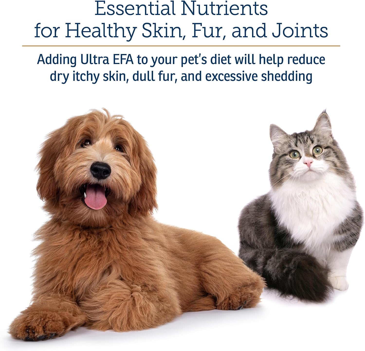 Rx Vitamins Ultra EFA Omega 3 Fish Oil for Dogs & Cats - 473 ml