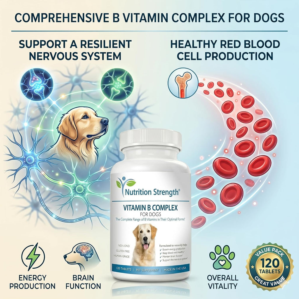 Nutrition Strength Complejo B para Perros, 120 Comprimidos Masticables