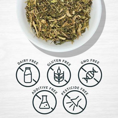 Evergreen Herbs Epazote De Comer Herb (Wormseed) 8 oz – Image 3