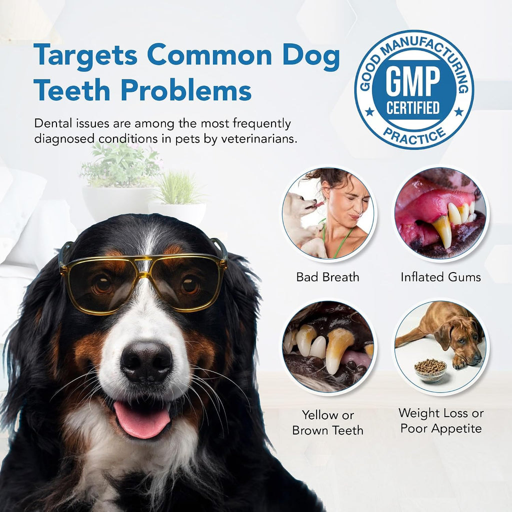 Polvo Dental para Perros - Control de Placa y Sarro, Refrescante del Aliento | Spanielbuns