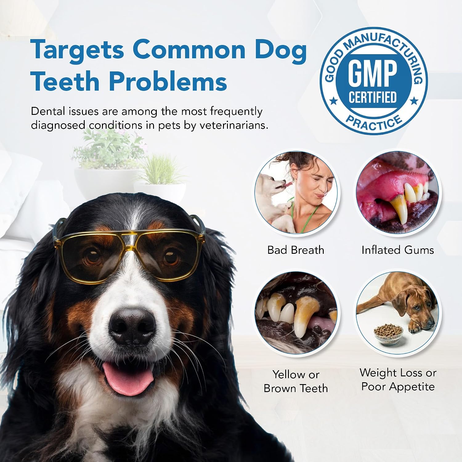 Polvo Dental para Perros - Control de Placa y Sarro, Refrescante del Aliento | Spanielbuns