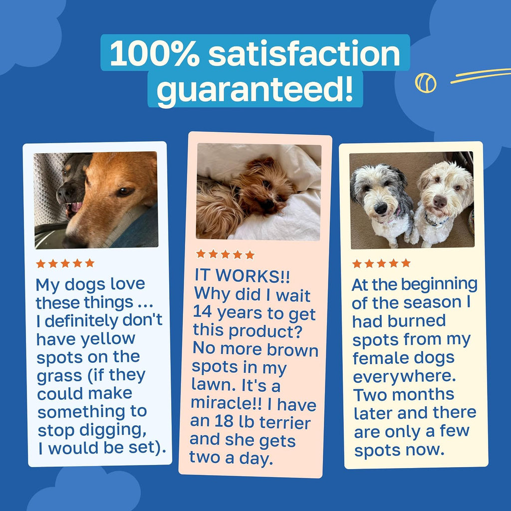 Happy Paws Lawn Saver Probióticos para Perros - 100 Masticables Blandos