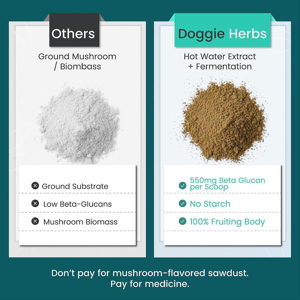 Doggie Herbs Extracto de Cola de Pavo de Alta Potencia - 55% Betaglucanos - 100g