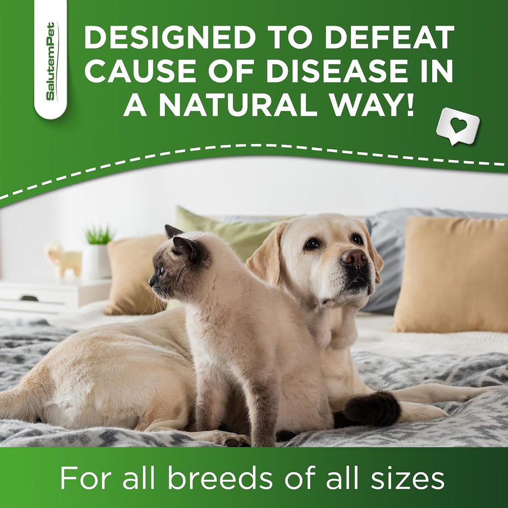 Complemento Herbal Natural de Aceite de Orégano para Perros y Gatos - Apoyo para Alergias, Infecciones Urinarias y Sistema Inmunológico | 2 oz