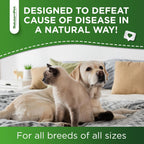 Complemento Herbal Natural de Aceite de Orégano para Perros y Gatos - Apoyo para Alergias, Infecciones Urinarias y Sistema Inmunológico | 2 oz