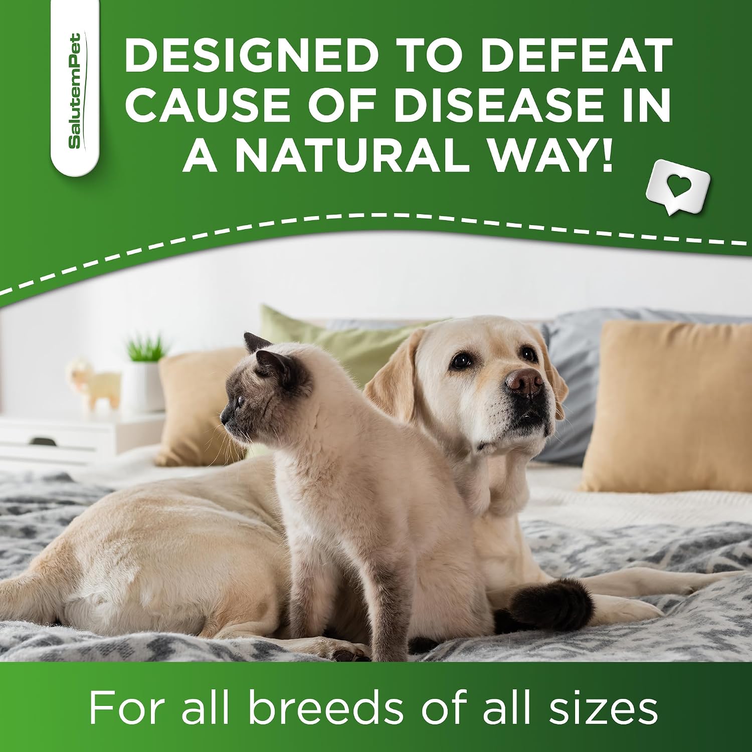 Complemento Herbal Natural de Aceite de Orégano para Perros y Gatos - Apoyo para Alergias, Infecciones Urinarias y Sistema Inmunológico | 2 oz