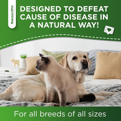 Complemento Herbal Natural de Aceite de Orégano para Perros y Gatos - Apoyo para Alergias, Infecciones Urinarias y Sistema – Image 7
