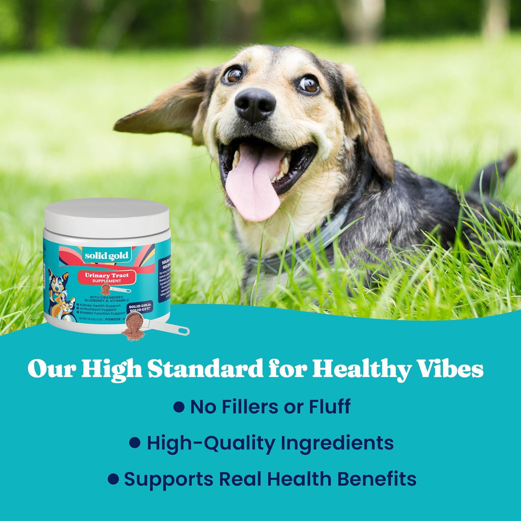 Solid Gold Berry Balance - Suplemento de Arándano Rojo para Perros con Antioxidantes (Polvo 100g, Sabor Arándano)