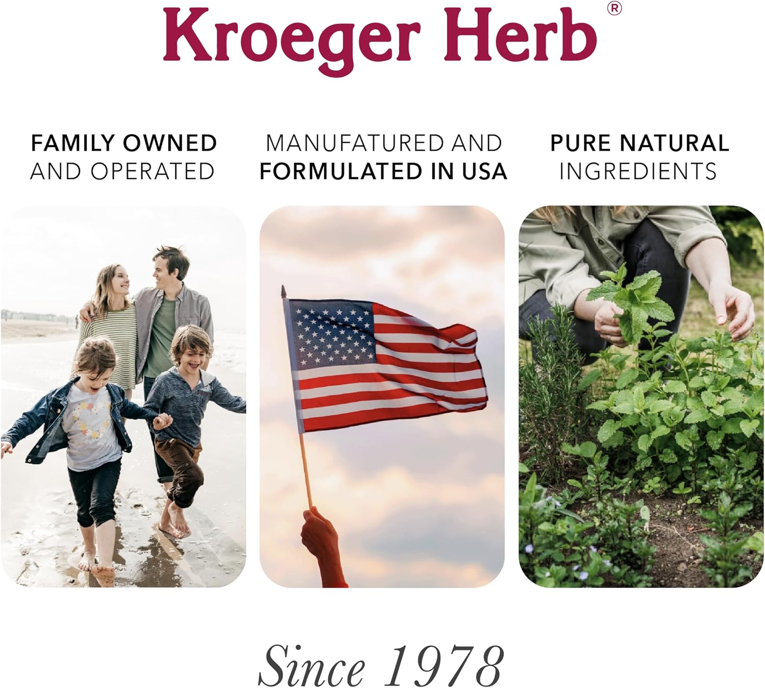 Wormwood Herbal Kit con Nuez Negra, Clavo y Quassia - Suplemento Depurativo