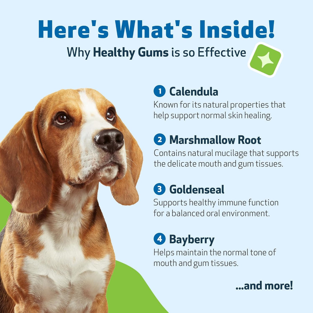 Pet Wellbeing Healthy Gums para Perros - Gotas Tópicas para Cuidado Bucal, Salud Dental y Aliento Fresco - Certificado NASC y Formulado por Veterinarios - Líquido de 118 ml