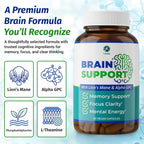 1 Suplemento Cerebral – Nootrópico con Alpha GPC, Ginkgo y Bacopa – 90 Cápsulas Veganas – Para Memoria y Concentración
