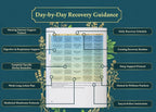 The Holistic Guide to Wellness: Herbal Protocols for Common Ailments