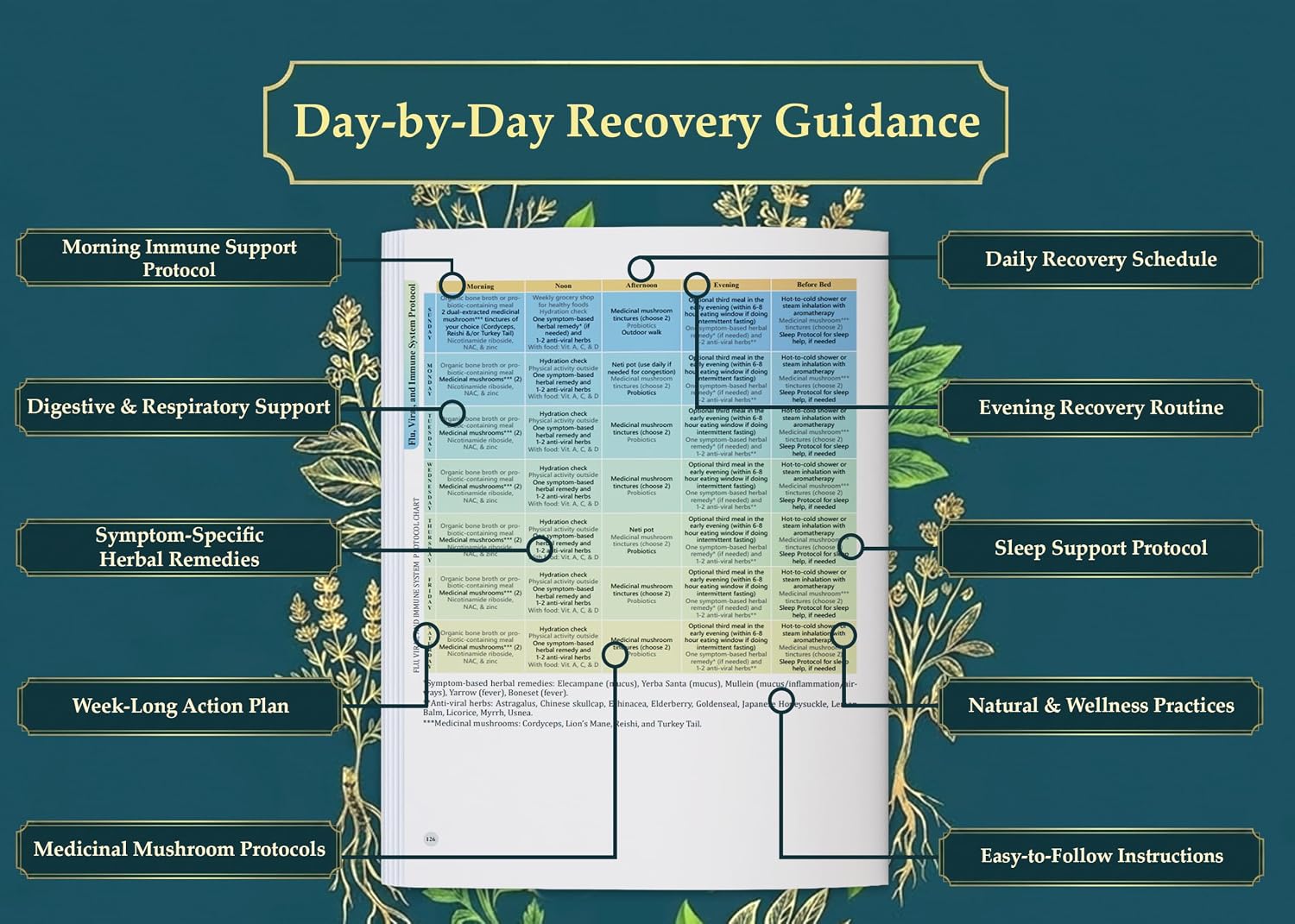 The Holistic Guide to Wellness: Herbal Protocols for Common Ailments