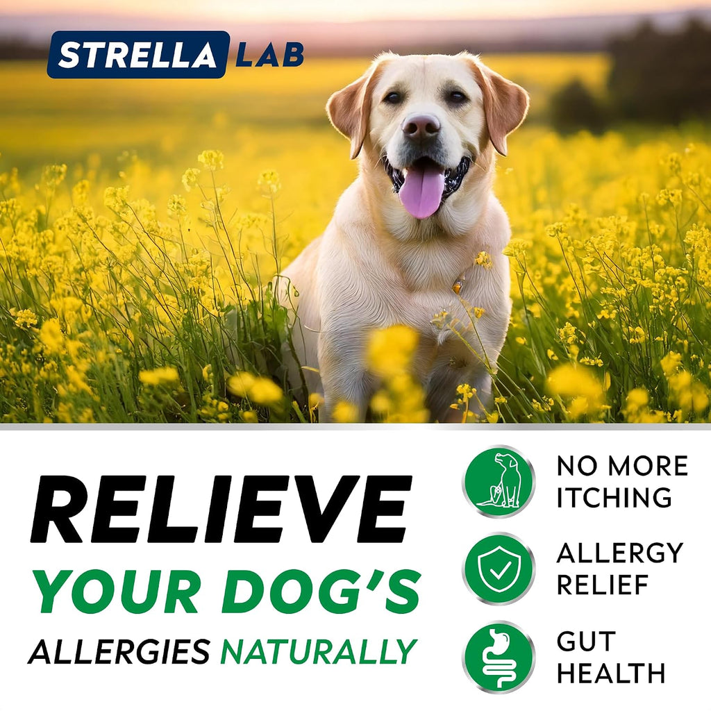 STRELLALAB Masticables para Alivio de Alergias y Picor en Perros con Omega 3: Apoyo para Piel y Pelaje con Aceite de Pescado, Calabaza y Enzimas para Perros y Gatos — Sabor Pollo BBQ - 180 unidades
