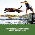 Grizzly Pet Products Algal Plus Omega 3-6-9 Suplemento Alimenticio para Perros y Gatos, 236 ml