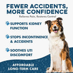 Fórmula para el Tratamiento de ITU y Salud Renal en Perros – Suplemento Urinario Natural – 400 Comprimidos Pequeños