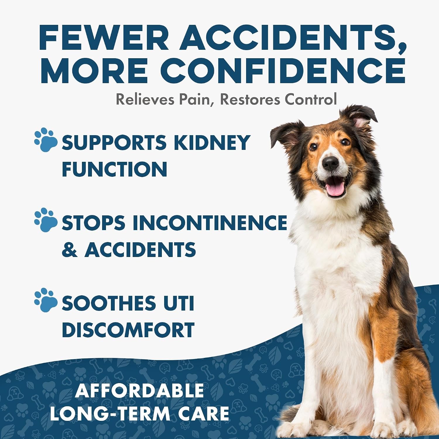 Fórmula para el Tratamiento de ITU y Salud Renal en Perros – Suplemento Urinario Natural – 400 Comprimidos Pequeños