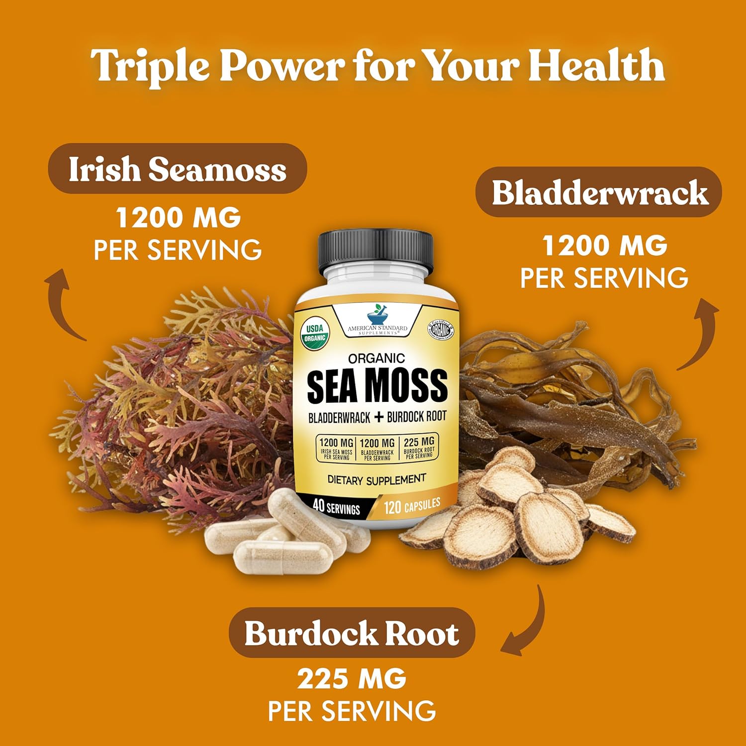 American Standard Supplements Cápsulas Orgánicas de Sea Moss, Bladderwrack y Burdock Root - 1200mg Sea Moss, 1200mg Bladderwrack, 225mg Burdock Root por Dosis - 120 Cápsulas, 40 Dosis