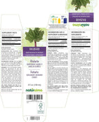 Naturalma Ruibarbo (Rheum palmatum) Tintura sin Alcohol - 118 ml Extracto Líquido en Gotas - Suplemento Herbal Vegano