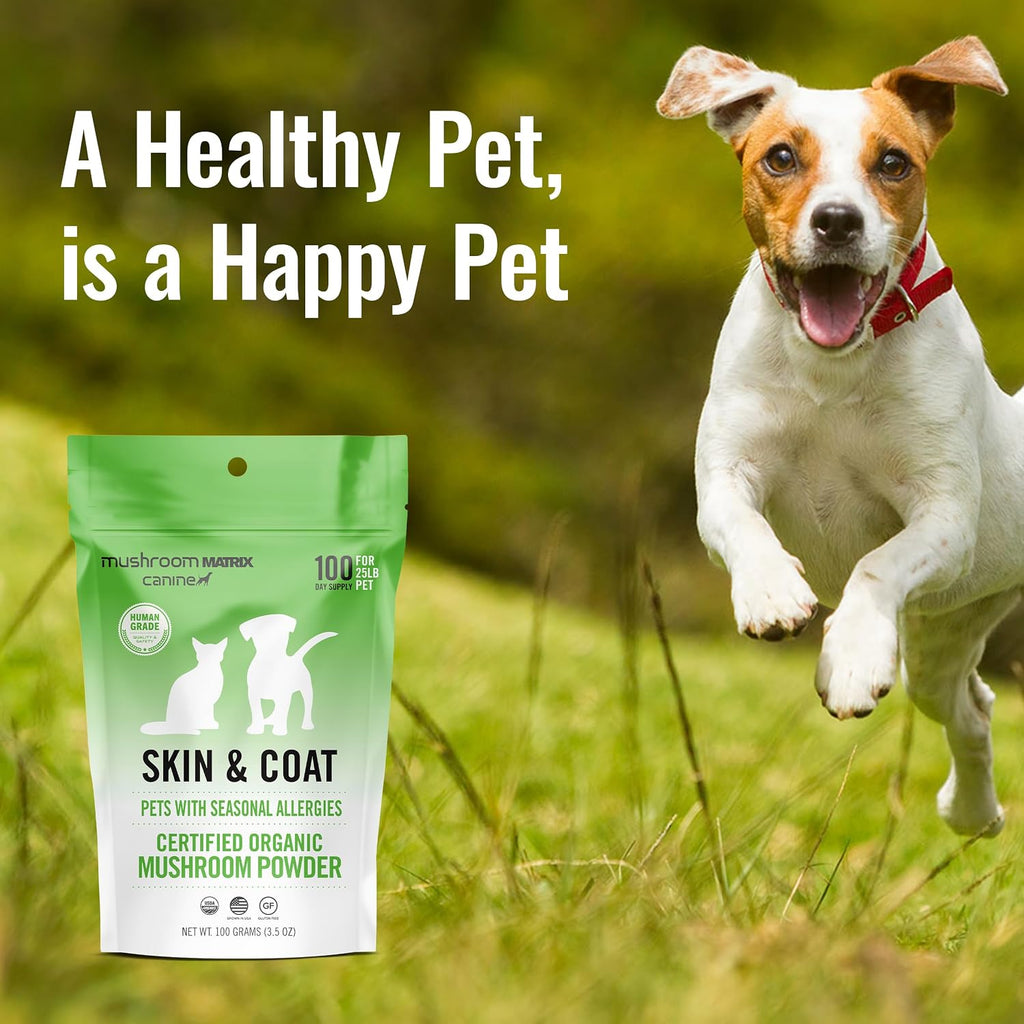 Om Mushroom Matrix Canine Skin & Coat - Polvo de Hongos Orgánico para Perros y Gatos (100g)