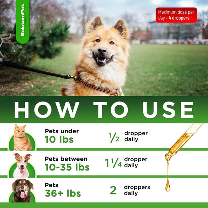 Forte Health Suplemento Herbal para Perros y – Equinácea Purpurea: Tradicionalmente utilizada para estimular las – Image 5