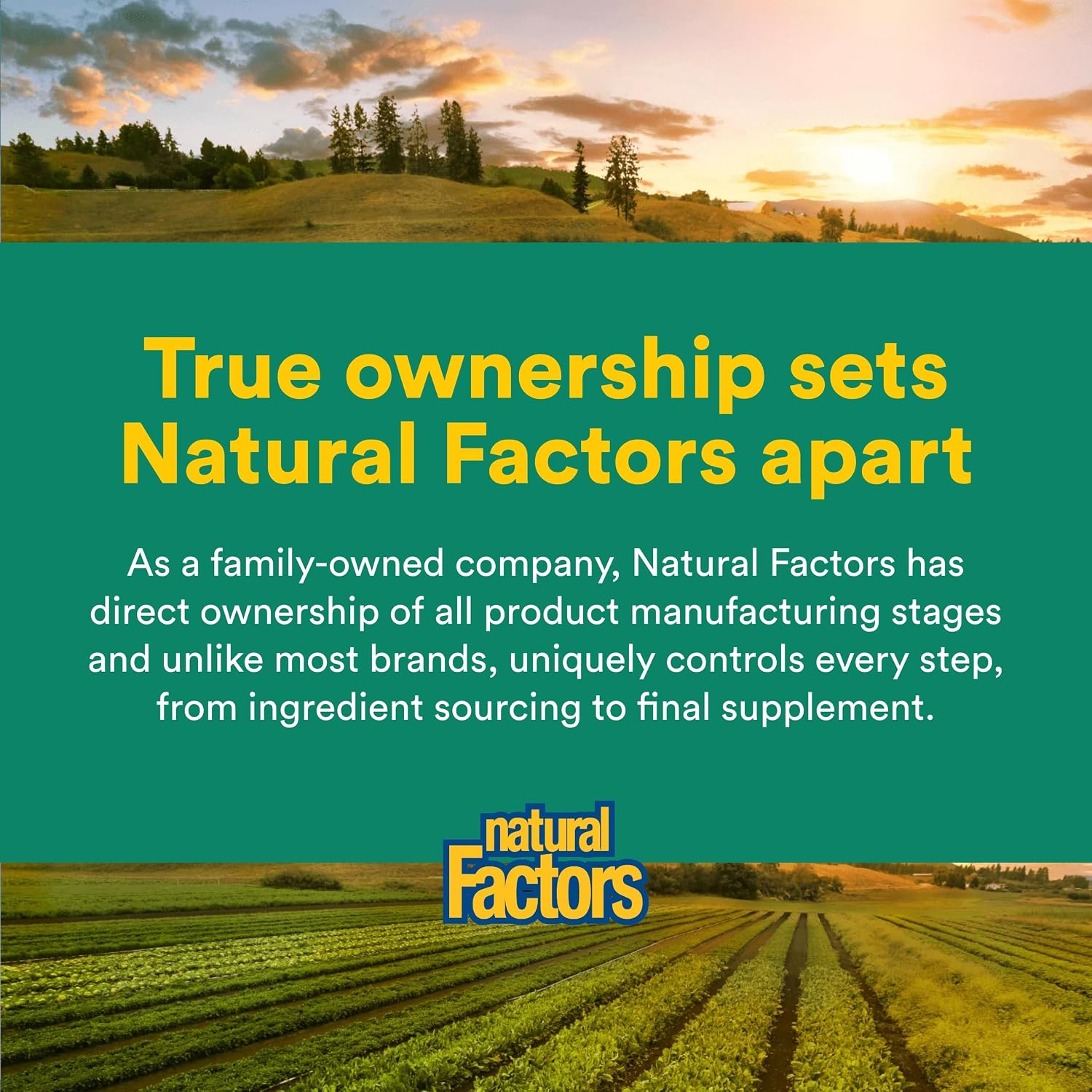 Natural Factors Vitamina C 500 mg - Suplemento para niños - Sabor tropical - 90 comprimidos masticables
