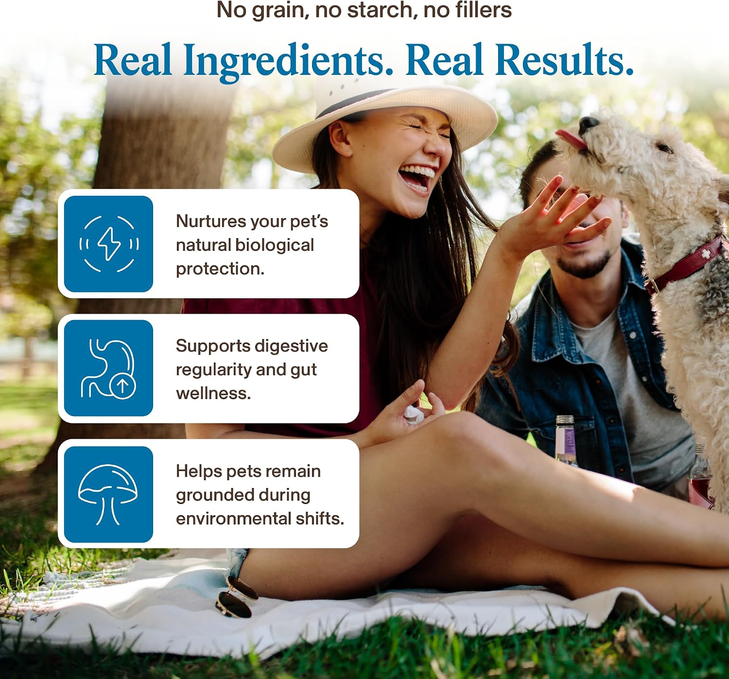 Real Mushrooms Whole Dog Health – Suplemento de hongos para perros, 75 g en polvo