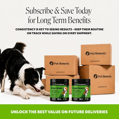 Pet Honesty Grass Green - Neutralizador de Orina para Perros, 90 Masticables Sabor Pato – Image 6