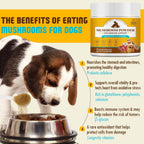 Organic Mushroom Supplement Powder for Dogs & Cats – 11 Mushroom Complex with Turkey Tail, Reishi & Cordyceps, Supports Lipoma, Lumps & Bumps Relief, Immune & Skin Health, 120g
