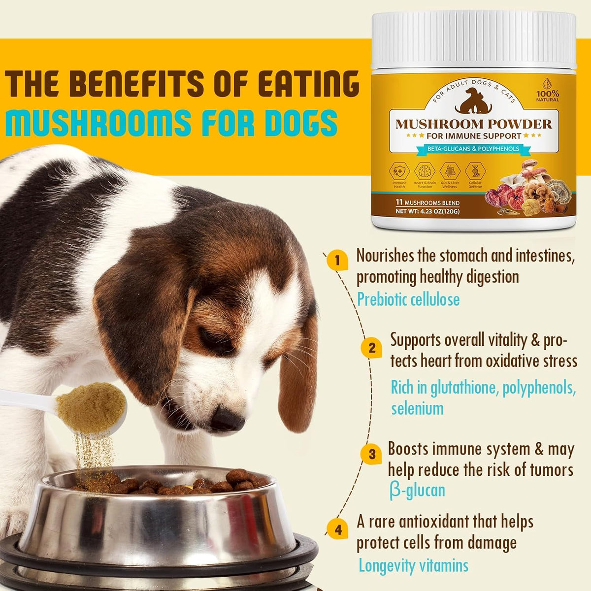 Organic Mushroom Supplement Powder for Dogs – Reishi y Cordyceps : conocidas por su potencial para apoyar la – Image 5