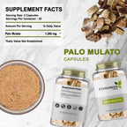 Evergreen Herbs Palo Mulato Capsules - 1350 mg per Serving (450 mg Each Capsules) Wildcrafted Mexican Herbal Capsules - Tamper Proof Seal to Ensure Freshness