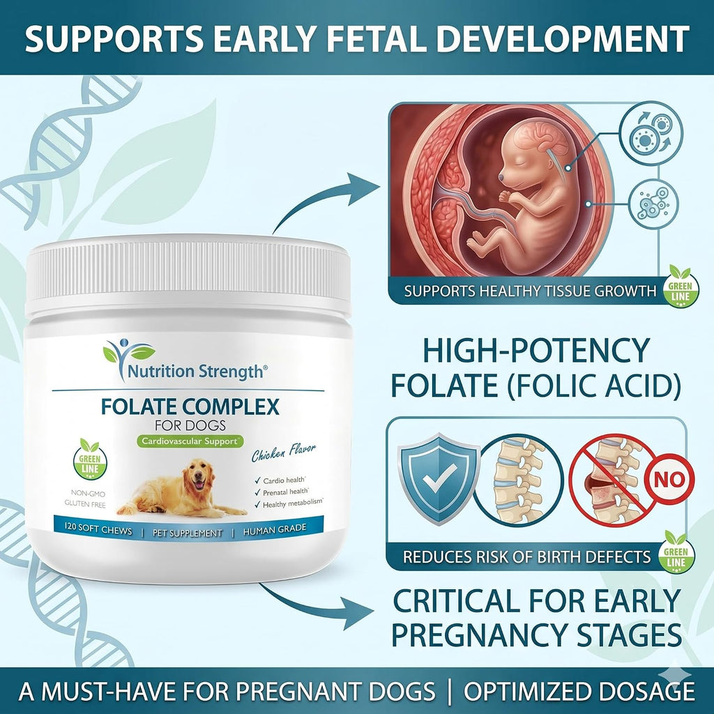 Folate para perros para promover la salud cardiovascular y prenatal, apoyar la síntesis de ADN y el mantenimiento celular, ácido fólico para perros con zinc, biotina, hierro y vitamina B12, 120 masticables blandos