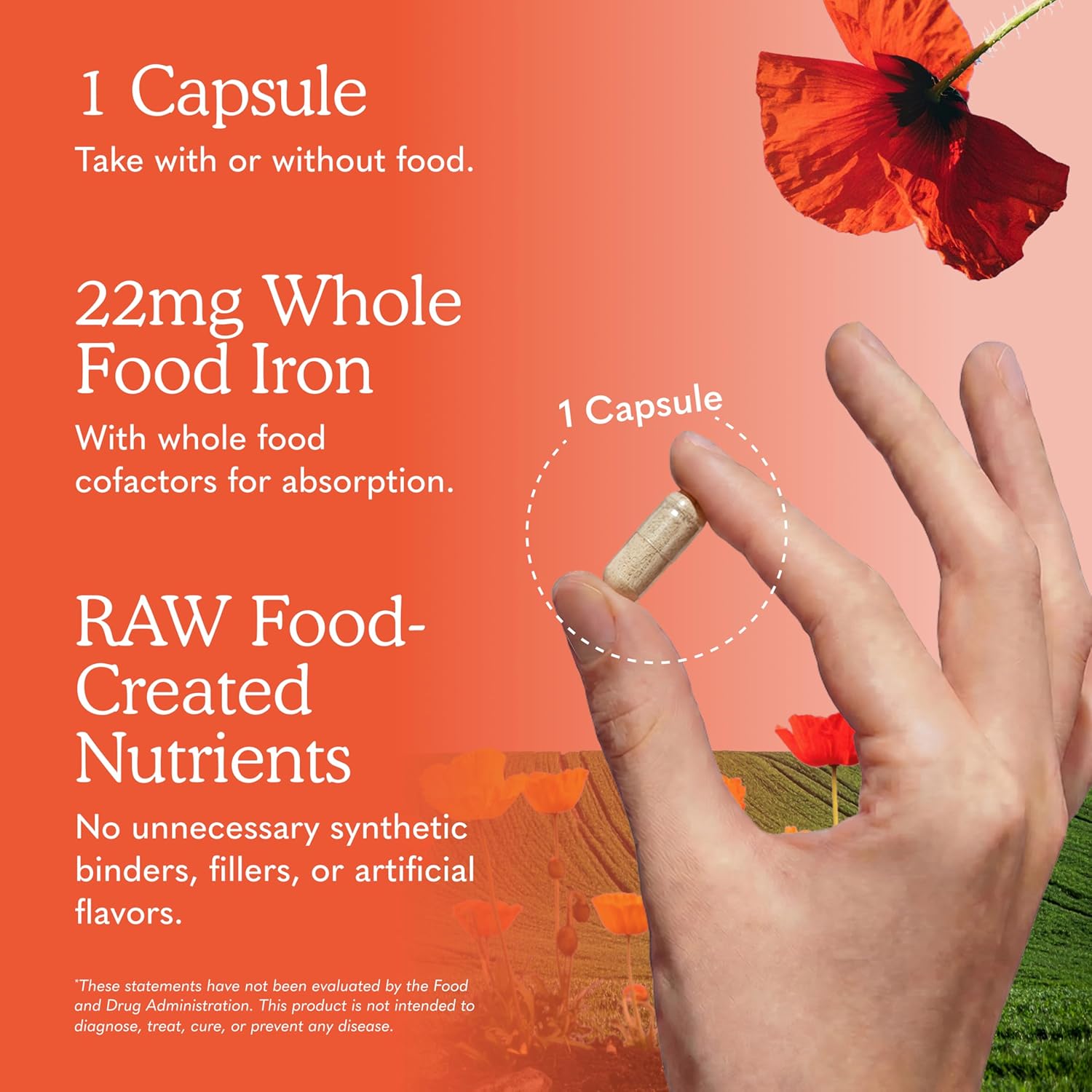Garden of Life Vitamin Code Raw Iron - 30 Cápsulas Veganas