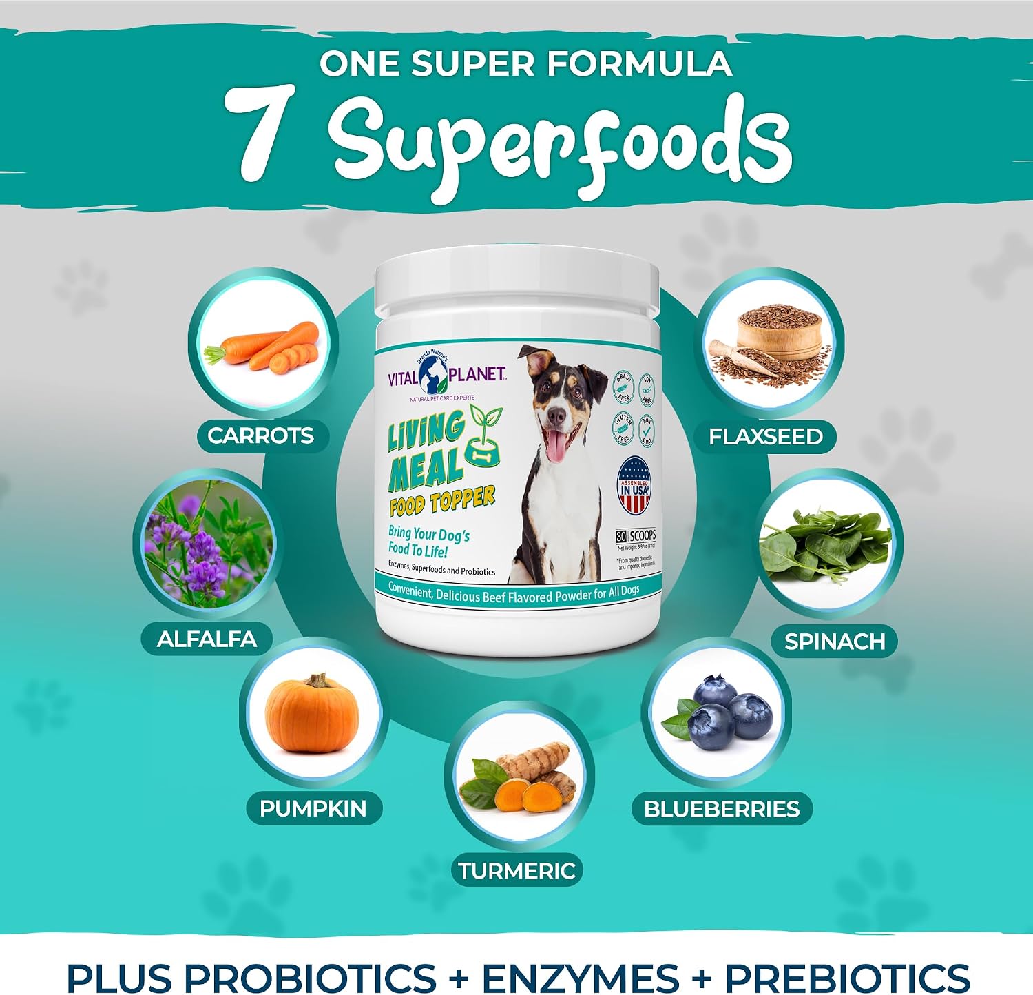Vital Planet Living Meal Alimento para Perros en Polvo con Enzimas, Superalimentos y Probióticos - 111 g (30 dosis)