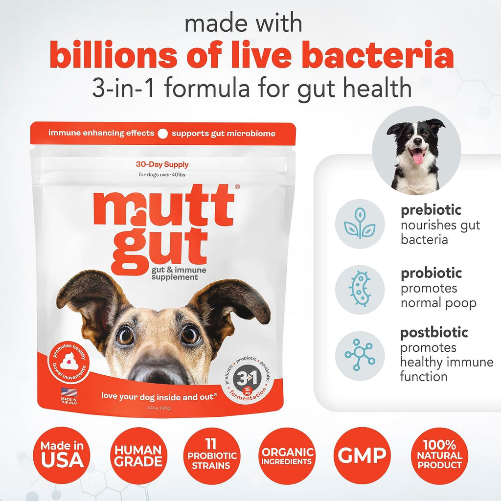 Probióticos 3 en 1 para Perros con Postbióticos - 135 Mil Millones de UFC - Polvo Digestivo Natural