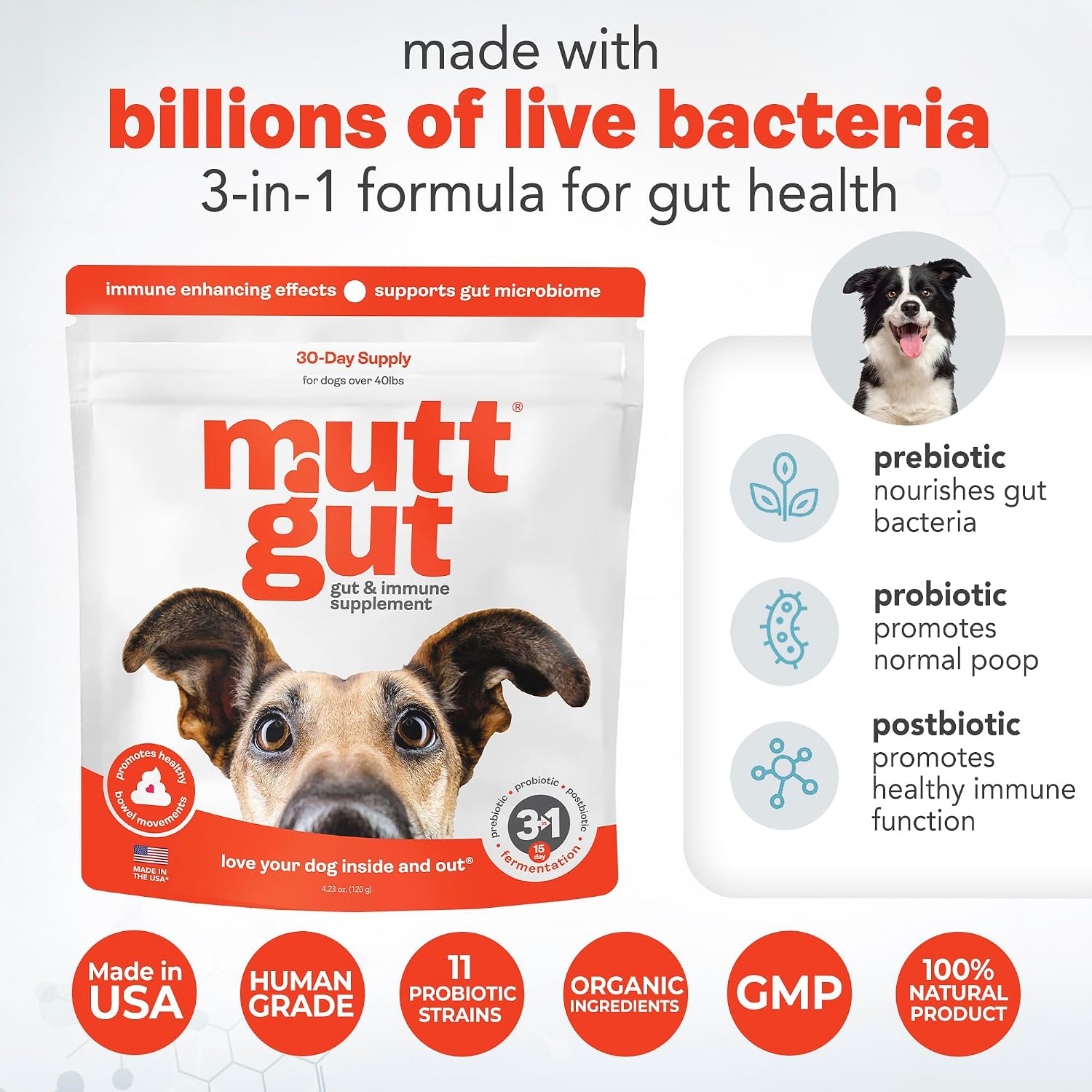 Probióticos 3 en 1 para Perros con Postbióticos - 135 Mil Millones de UFC - Polvo Digestivo Natural