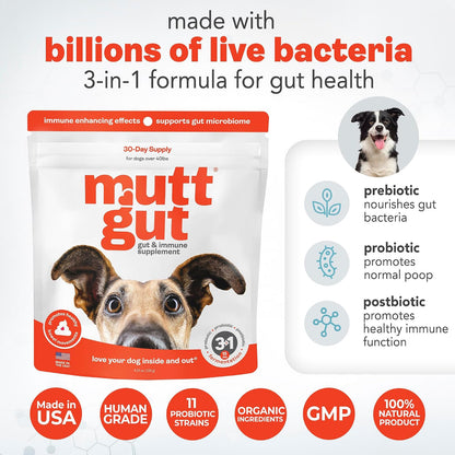Probióticos 3 en 1 para Perros con Postbióticos - 135 Mil Millones de UFC - Polvo Digestivo Natural – Image 4
