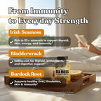 American Standard Supplements Cápsulas Orgánicas de Sea Moss, Bladderwrack y Burdock Root - 1200mg Sea Moss, 1200mg Bladderwrack, 225mg Burdock Root por Dosis - 120 Cápsulas, 40 Dosis