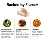 Force Factor Forebrain Focus - Suplemento para la Concentración y Memoria, 180 Cápsulas