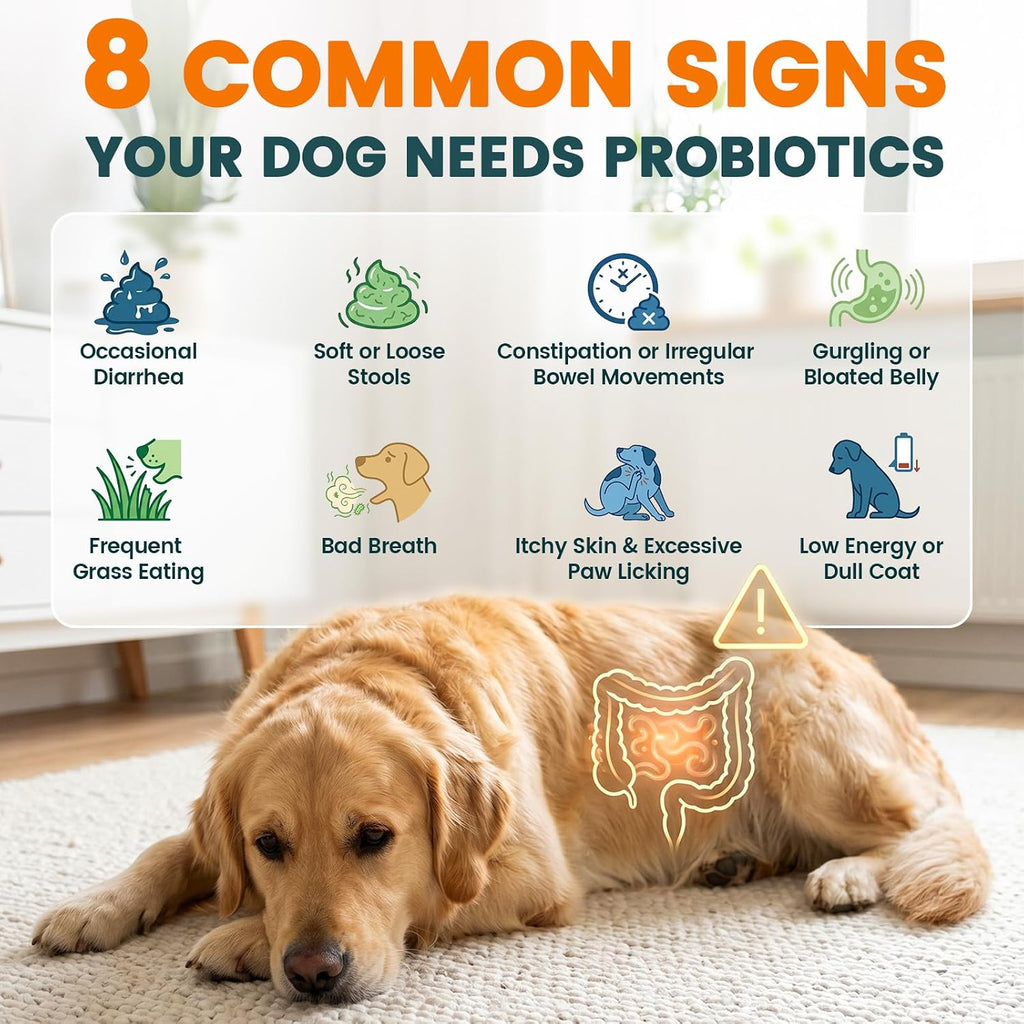 Probióticos para Perros Carmelie - Masticables con Enzimas Digestivas y Prebióticos (Pollo, 200 uds)