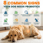 Probióticos para Perros Carmelie - Masticables con Enzimas Digestivas y Prebióticos (Pollo, 200 uds)