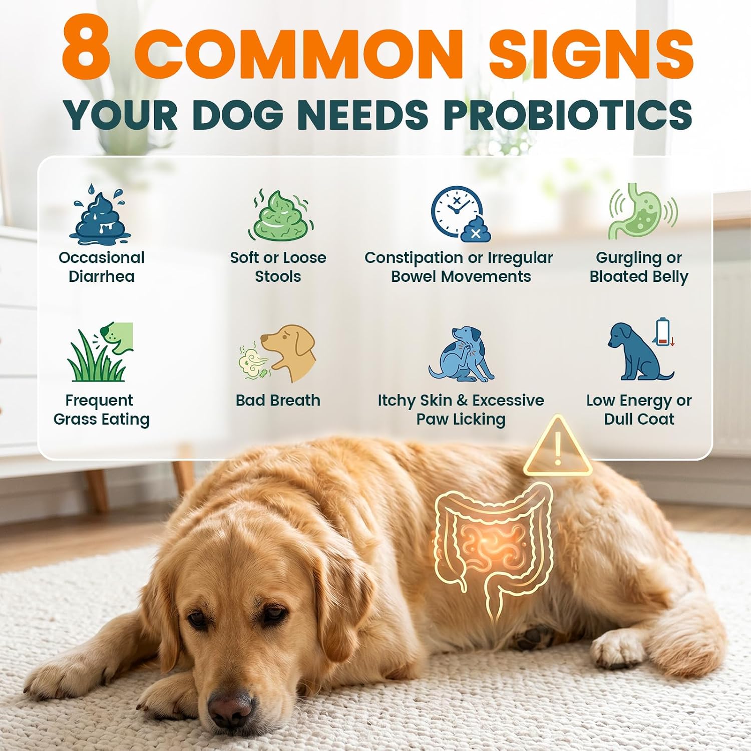 Probióticos para Perros Carmelie - Masticables con Enzimas Digestivas y Prebióticos (Pollo, 200 uds)