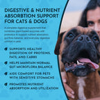 Animal Essentials Plant Enzyme & Probiotics - Probióticos y Enzimas Digestivas para Perros y Gatos