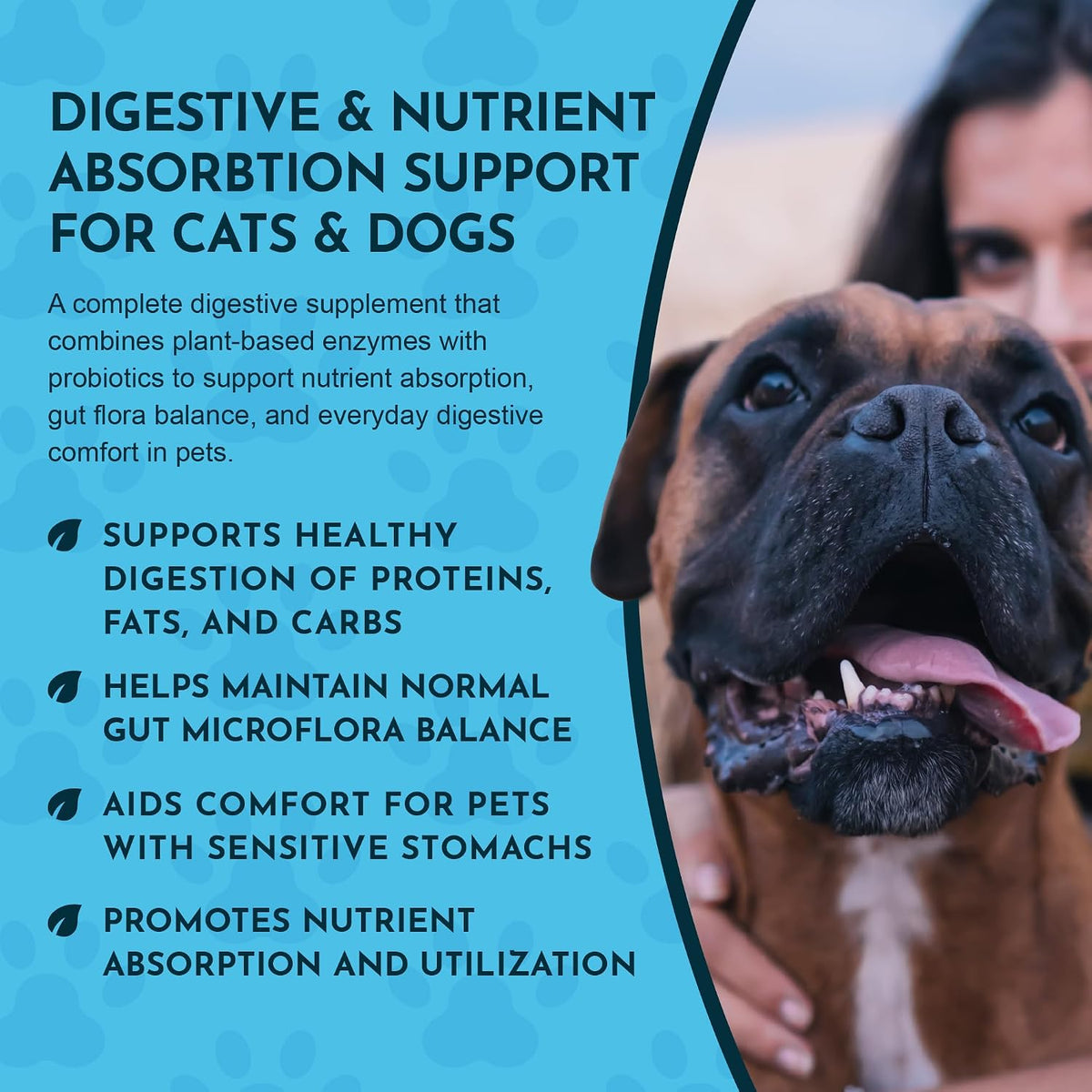 Animal Essentials Plant Enzyme & Probiotics – Para gatos: Añadir 1/4 de cucharadita al alimento una vez al día. – Image 5