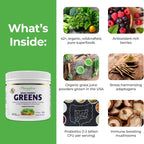 Paradise ORAC Energy Greens Powder Extract - Super Antioxidantes y Probióticos, 30 Porciones