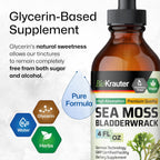 BIO KRAUTER® Gotas de Musgo de Mar y Bladderwrack - Suplemento Vegano de Algas Marinas, 118 ml