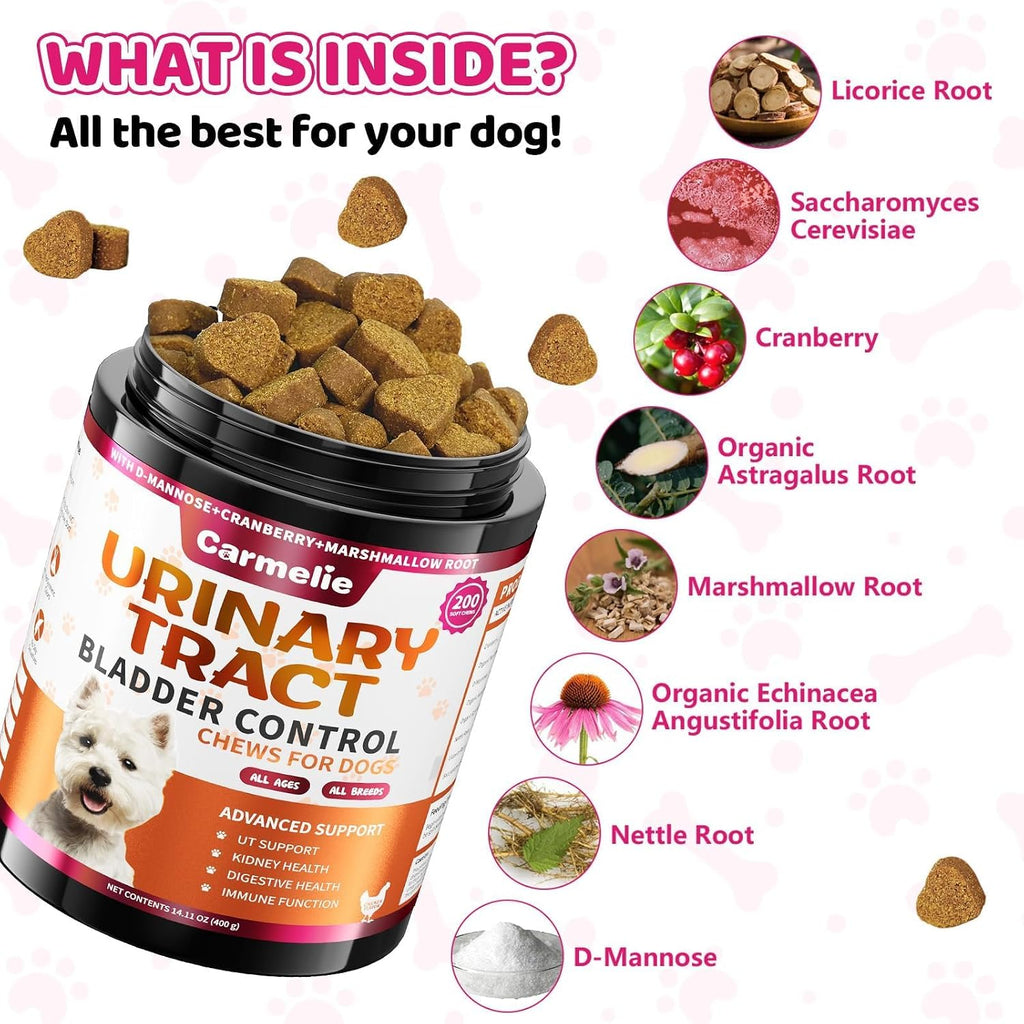 Suplemento de Arándano para Perros - Apoyo Urinario y Renal - 200 Chews Sabor Pollo
