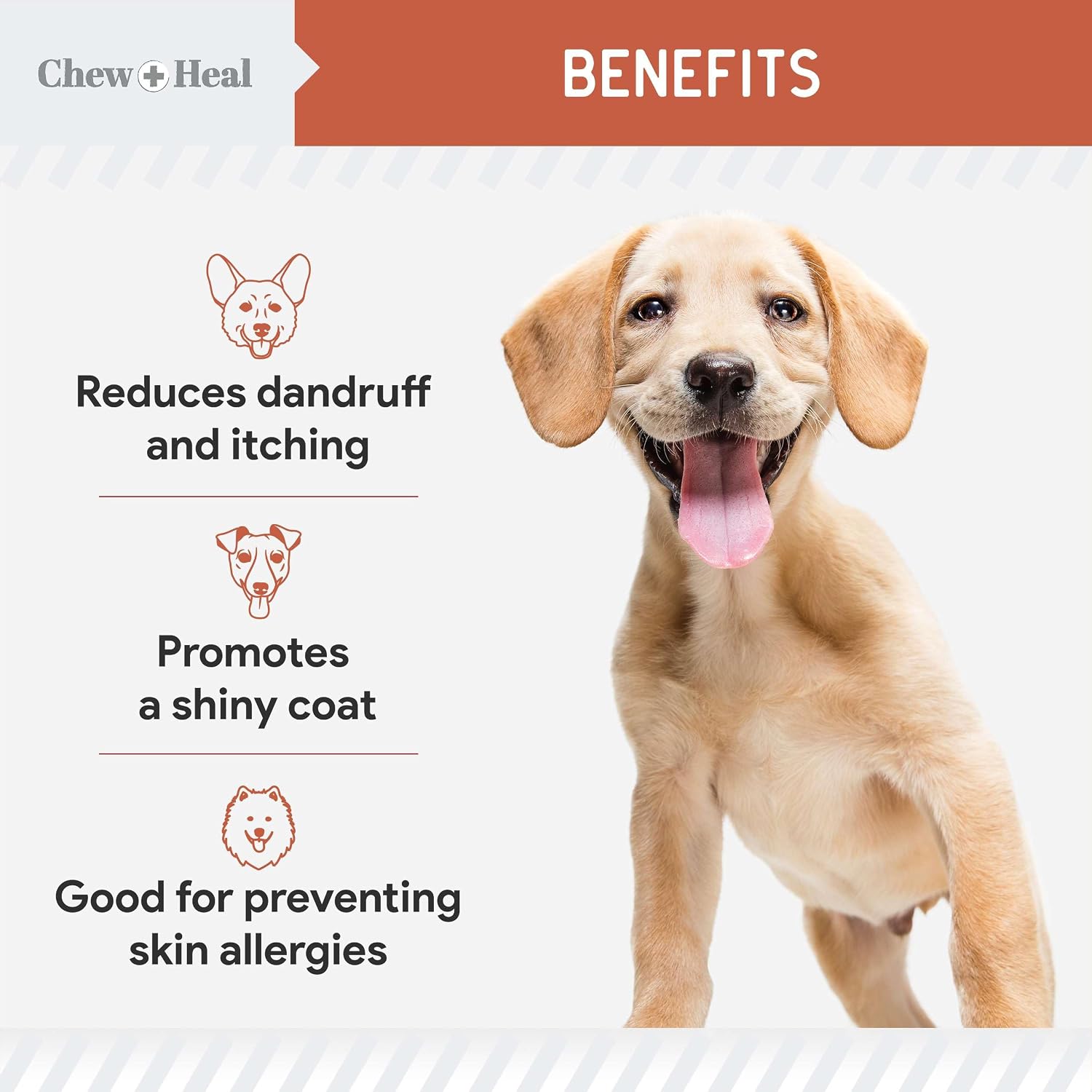Chew + Heal Labs Aceite de Pescado Omega 3 para Perros - 360 Golosinas Blandas de Salmón