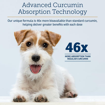Rx Vitamins CurcuWIN - Curcumin for Dogs & – Función digestiva saludable: contribuye a mantener el equilibrio – Image 3